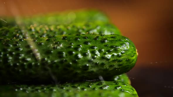 Beautiful Cucumber With Drops of Water, Macro Video, Raw Organic Food Vegetables, Organic Harvest in