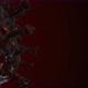 Coronavirus COVID-19 medical animation. The virus model is realistic. - VideoHive Item for Sale
