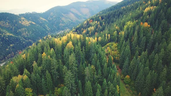 Aerial Flight in Carpathian Mountains. , 30Fps