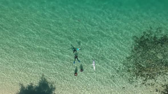 Scuba divers in the water viewed from above