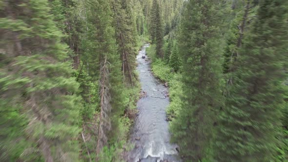 Drone flies down towards a creek running down a ravine.  Pine trees surround both sides of the creek