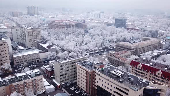 Snow-white trees among the stone houses of city