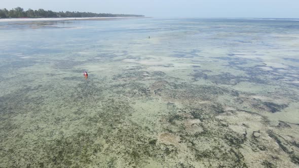 Ocean Low Tide Near the Coast of Zanzibar Island Tanzania