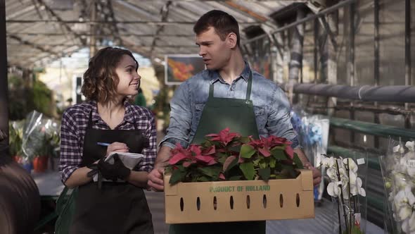 Handsome Tall Male Gardener in Shirt and Green Apron Carrying Carton Box with Pink Flowers Plants