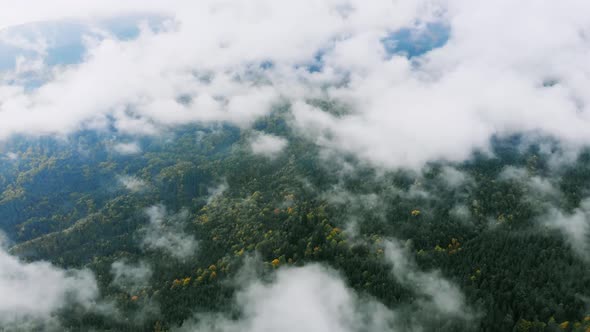 Aerial Drone Footage: Mountains Autumnt Forest Steam after Rain.