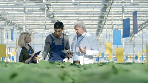 Agronomists Evaluating Work of Greenhouse Employee