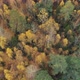Aerial shot over a forest - VideoHive Item for Sale