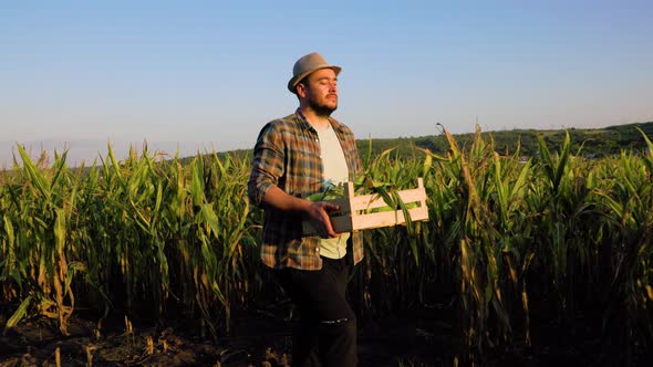 Young Farmer Man Walk Tired on Field Smile Lightly Carries Box in Arm Tracking Shot