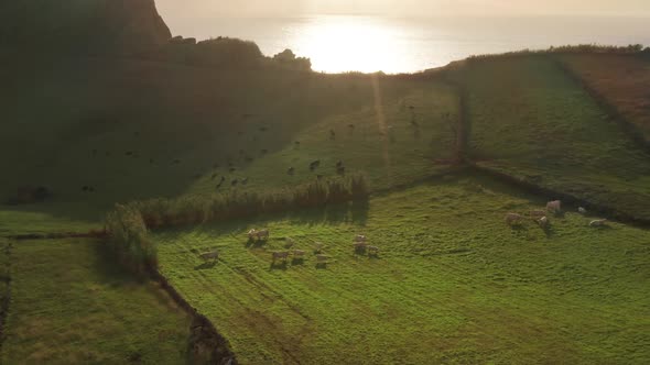 Aerial Footage of the Green Cliffs of the Volcanic Island