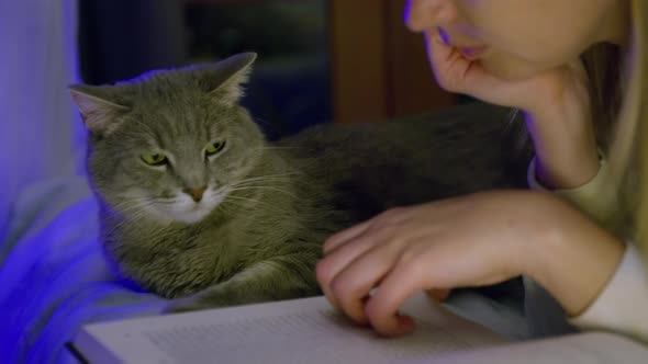 Night Scene Cozy Home Atmosphere Young Woman Reading a Book and Petting Cat RED