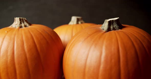 Beautiful Orange Pumpkin on a Dark Background