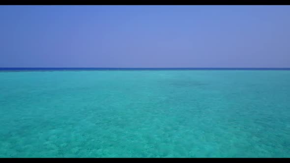 Aerial drone shot texture of idyllic lagoon beach wildlife by blue green lagoon with white sand back