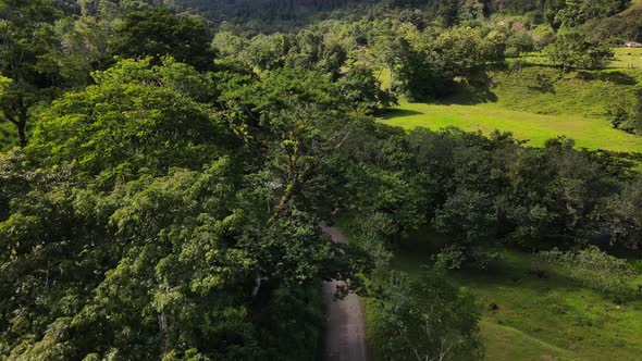 Drone flying close above the tree tops of a central American jungle. Remote gravel road for transpor