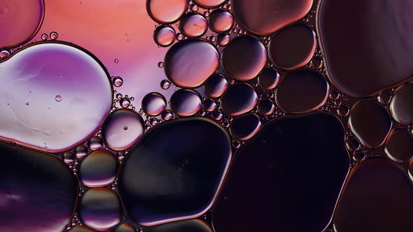 Abstract Colorful Food Oil Drops Bubbles 096