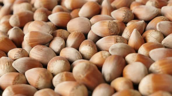 Close-up of  ripe hazelnuts on the table slow pan 4K 2160p 30fps UHD footage - Edible Corylus avella