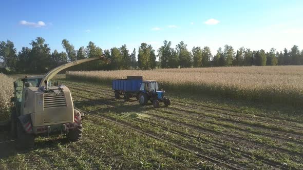 Tractor Approaches Harvester Machine To Load Ripe Corn