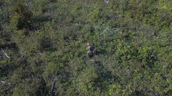 Aerial View of Bushes and Weeds Is Getting Sawn By Worker with a Gasoline Saw in Forest. Thinning
