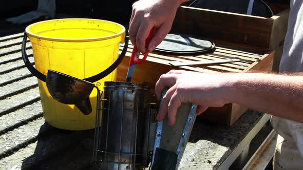 Beekeeper preparing smoker for harvesting in apiary