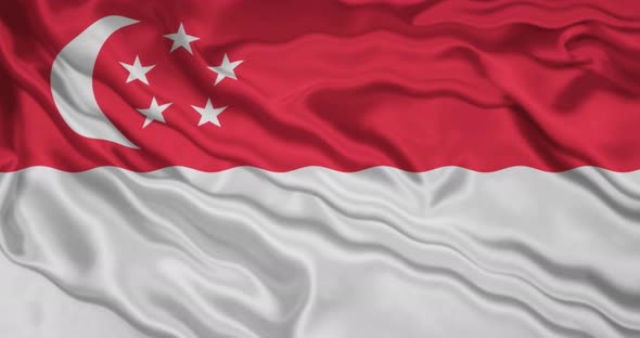 Singapore flag-waving