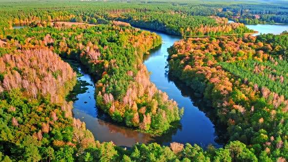 Curvy river in autumn. Aerial view of wildlife in Poland