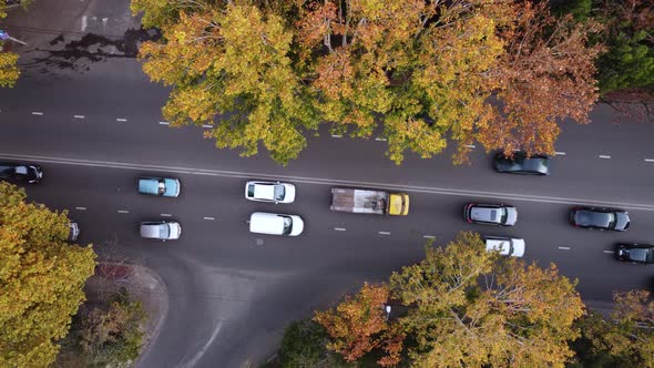 Autumn Trees And Traffic In The Street
