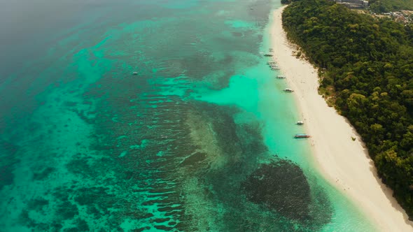 Tropical Beach and Blue Lagoon