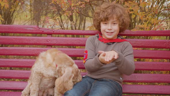 Adorable Happy Child Sitting on Bench with Dog in Park