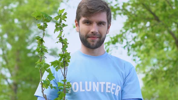 Smiling Man Volunteer Holding Tree Sapling Deforestation Problem Solving, Nature