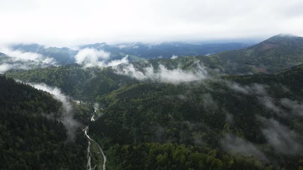 Ukraine, Carpathian Mountains: Beautiful Mountain Forest Landscape. Aerial