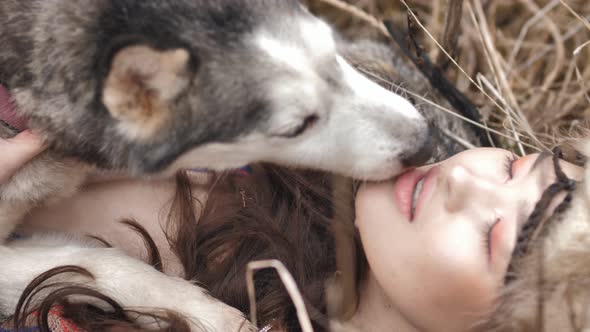 close-up of a husky dog licking its young Asian mistress, lying on the grass in the steppe.