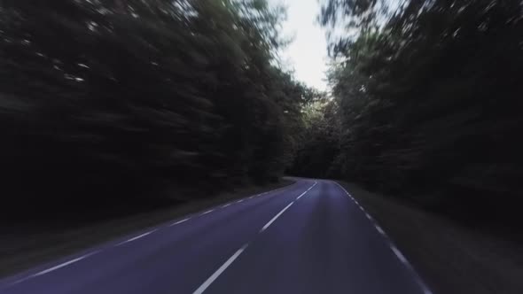 POV Driving On Forest Road