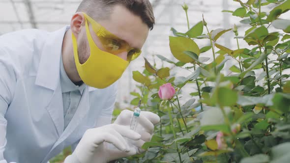 Male Botanist Making Injections in Plant Nursery