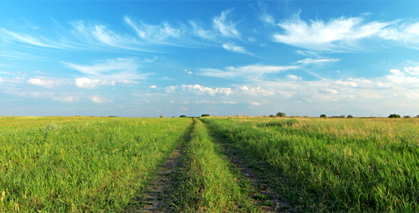 Summer Landscape alt