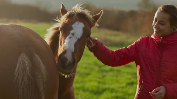 Slow Motion Closeup Broll Tender Happy Woman Stroking a Horse Foal in Green Field at Sunset