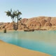 Mirage in the Desert - VideoHive Item for Sale