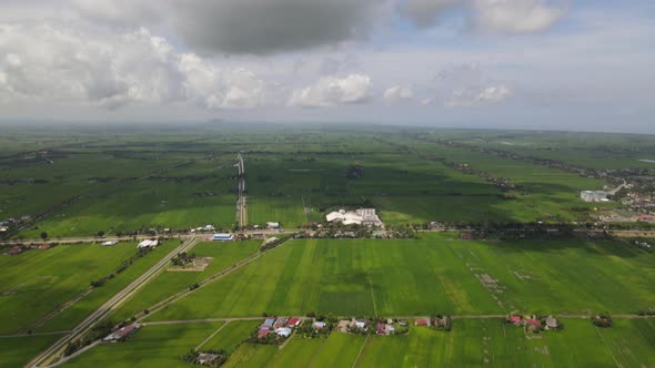 The Paddy Rice Fields of Kedah and Perlis, Malaysia