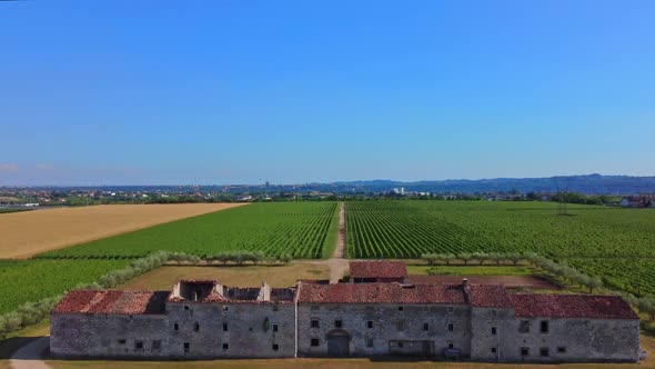 Flight Over The Vineyard