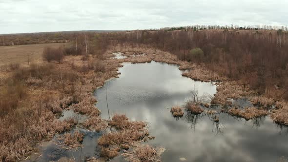 Marshland