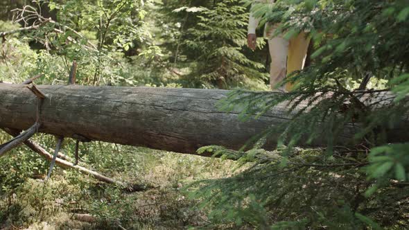 Unrecognizable Man Walking in Woods