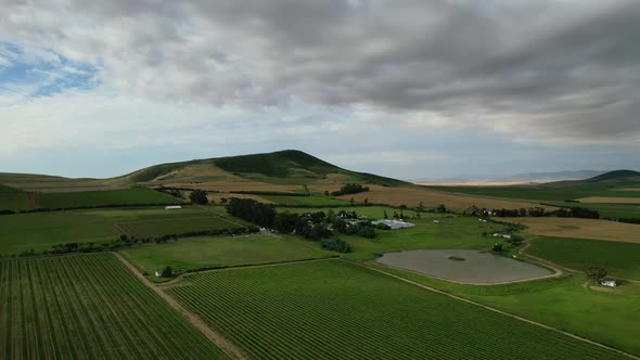 Green vineyard and hills of Cape Winelands in South Africa on cloudy day, aerial