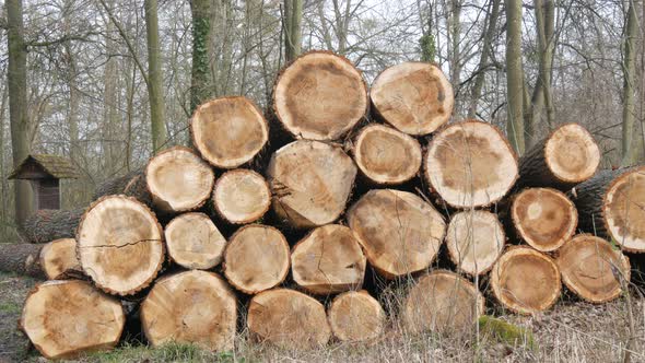 A Stack of Logs