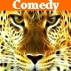 Comedy Quirky Pack - AudioJungle Item for Sale