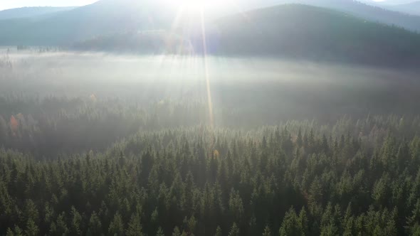 Aerial View of Mist and Morning Haze, Sunrays Over Virgin Forest