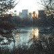 Central Park Frozen Lake - VideoHive Item for Sale