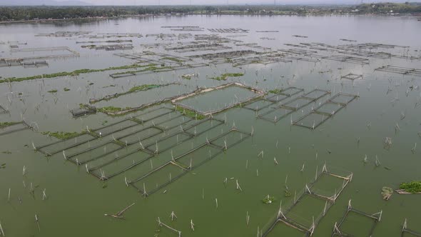 Wide aerial view of traditional floating fish pond on swamp in Indonesia