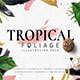 Tropical Foliage Illustration Pack - GraphicRiver Item for Sale