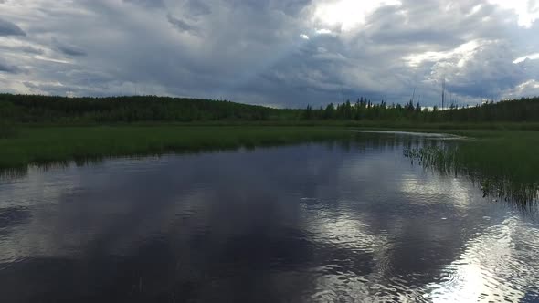 Lake with vegetation on a cloudy day