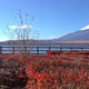 Beautiful nature in Kawaguchiko with Mountain Fuji in Japan - VideoHive Item for Sale