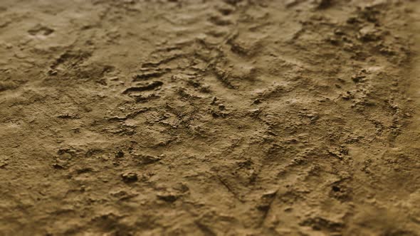 Wheel Tracks on Rough Road