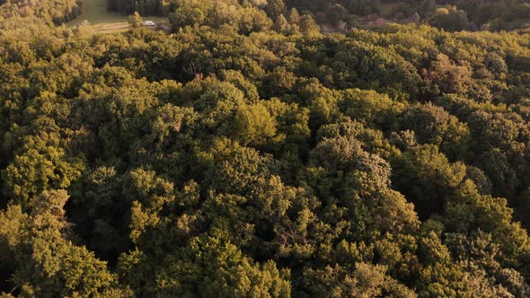 Flying Over Forest Trees and Small Village